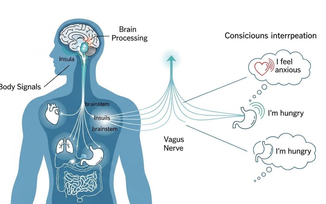 Interoception Explained: What It Is, Why It Matters for Your Well-being